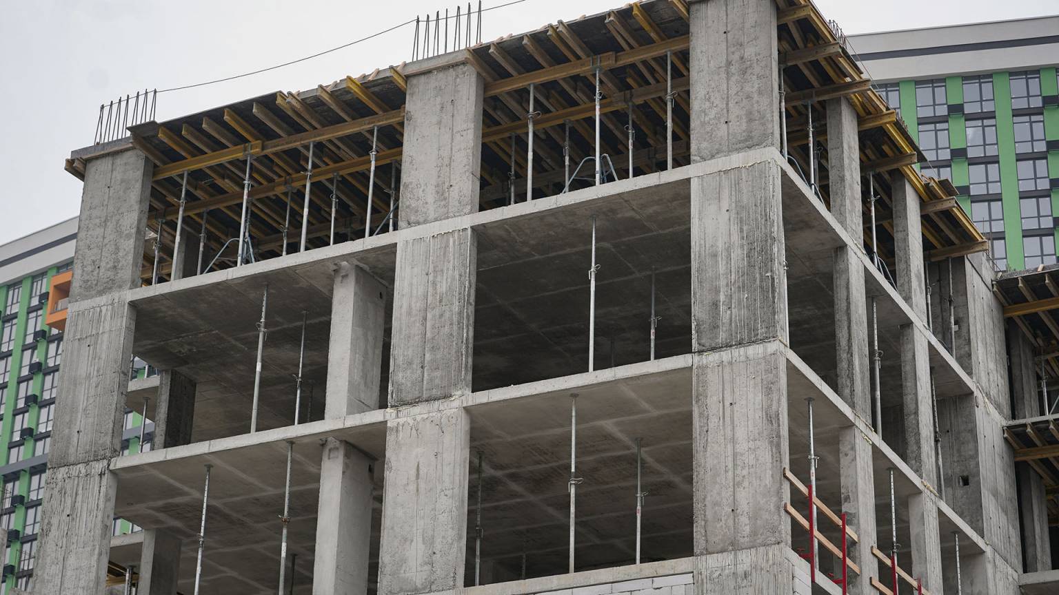 Листопад 2025 #12