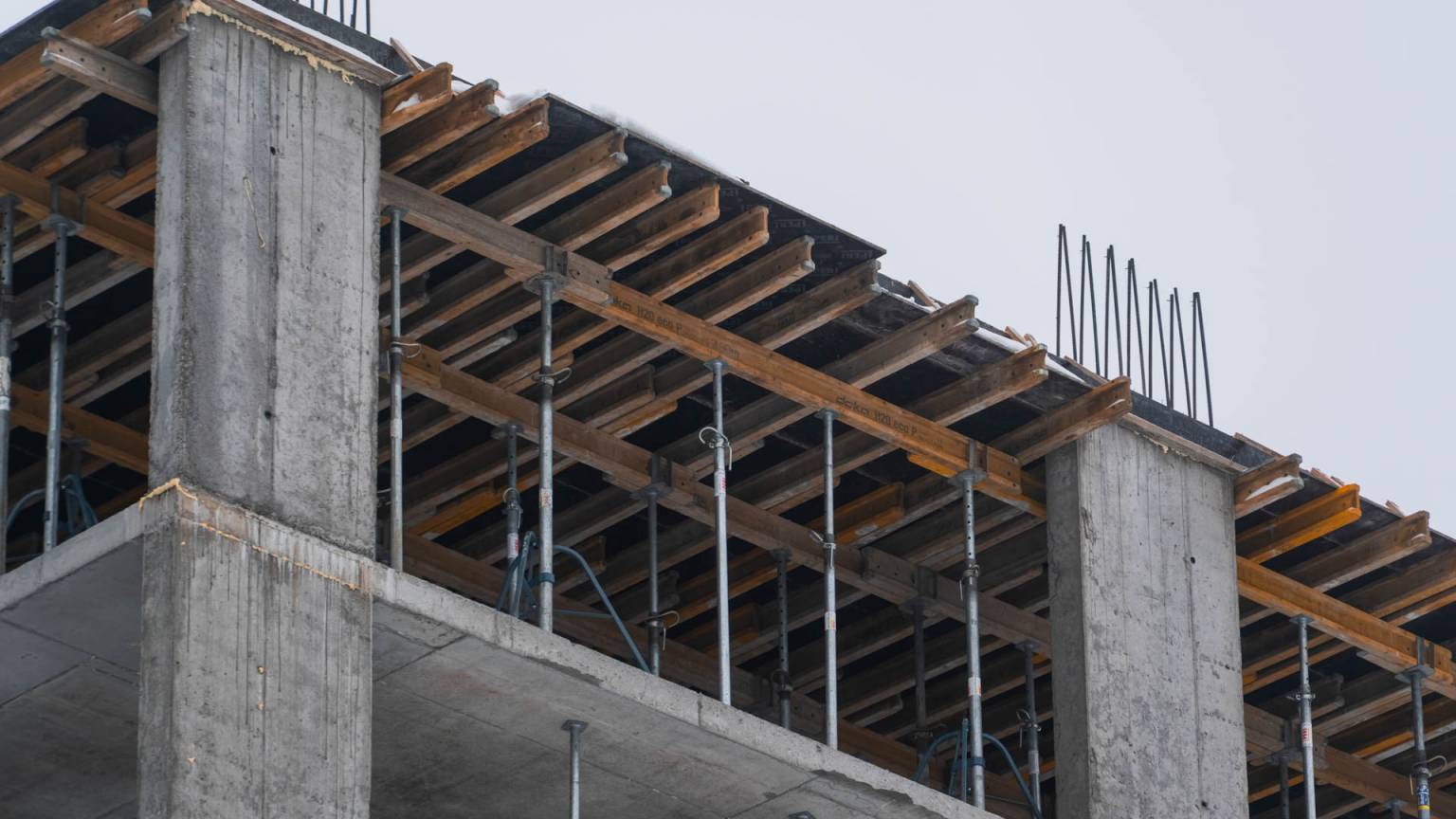 Грудень 2025 #14