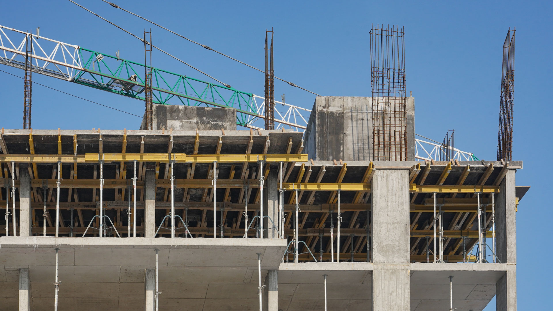 Січень 2026 #16