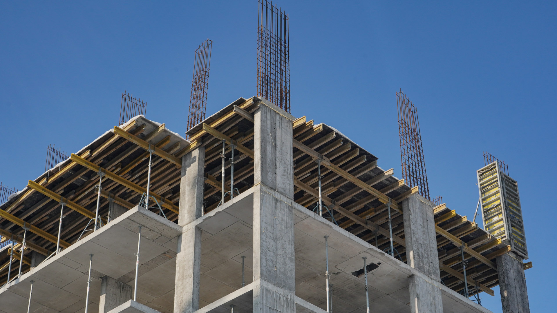 Січень 2026 #17